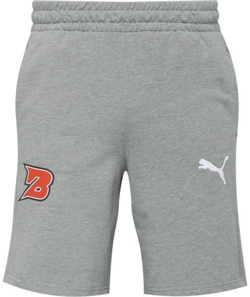 Puma TEAMGOAL CASUALS SHORTS Pánske krátke nohavice, sivá, veľkosť