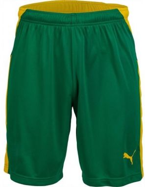Puma KC LIGA SHORTS Pánske futbalové šortky, zelená, veľkosť