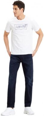 Levi's® HOUSEMARK GRAPHIC TEE Pánske tričko, biela, veľkosť