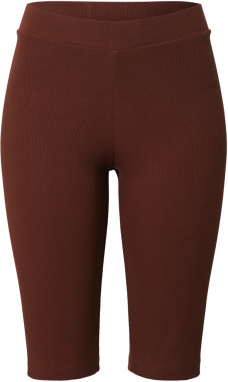 Blanche Legíny 'Rosa'  hrdzavohnedá