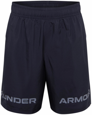 UNDER ARMOUR Športové nohavice  sivá / čierna