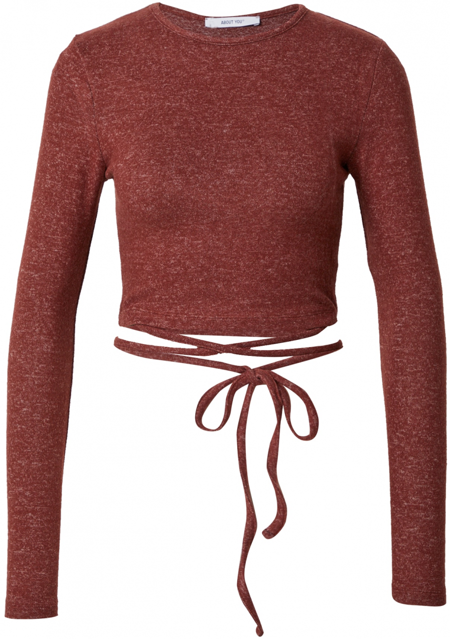 ABOUT YOU Tričko 'Lino'  hnedá melírovaná