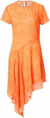 WEEKDAY Šaty  oranžová / svetlooranžová