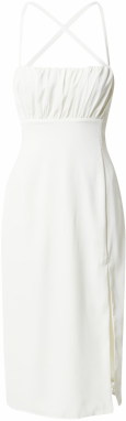 Abercrombie & Fitch Kokteilové šaty  šedobiela