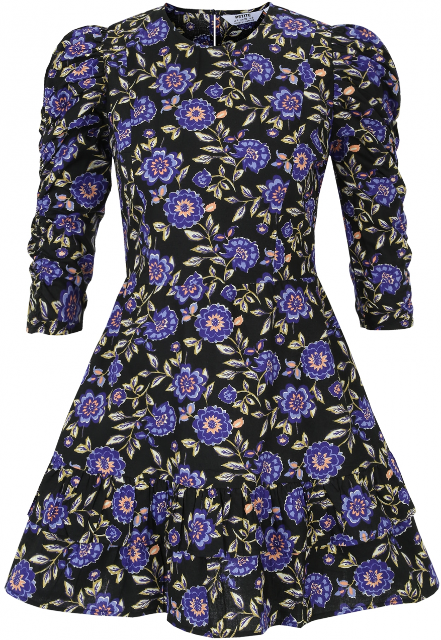 Dorothy Perkins Petite Šaty  modrá / kaki / tmavofialová / broskyňová / čierna