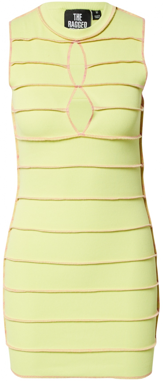 The Ragged Priest Šaty 'ENTITY'  svetlosivá / svetloružová