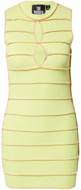 The Ragged Priest Šaty 'ENTITY'  svetlosivá / svetloružová