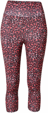 Dorothy Perkins Legíny  malinová / vínovo červená / čierna / biela
