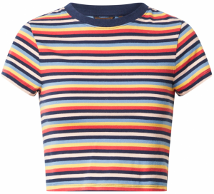 Superdry Tričko 'Vintage'  námornícka modrá / žltá / ružová / červená