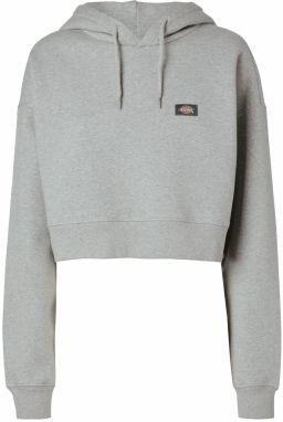 DICKIES Mikina 'OAKPORT'  sivá