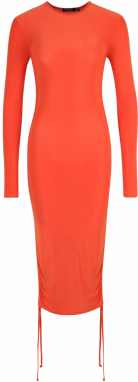 Nasty Gal Petite Šaty  oranžová