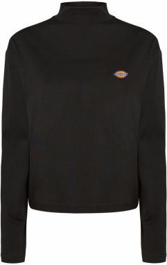 DICKIES Tričko 'MAPLETON'  zmiešané farby / čierna
