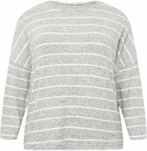 Dorothy Perkins Curve Tričko  sivá / šedobiela