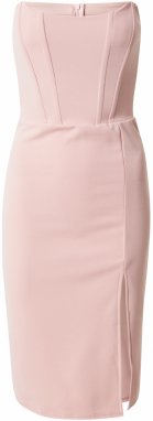 TFNC Šaty 'ANET'  svetloružová