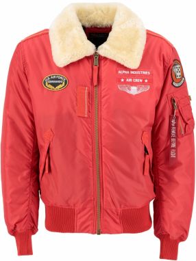 ALPHA INDUSTRIES Zimná bunda 'Injector III Air Force'  zmiešané farby / červená