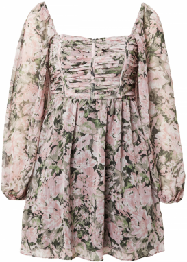 Forever New Šaty 'Romana'  trávovo zelená / púdrová