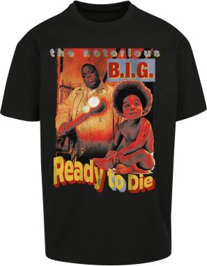 Mister Tee Tričko 'Biggie Ready To Die'  modrosivá / hnedá / žltá / červená / čierna