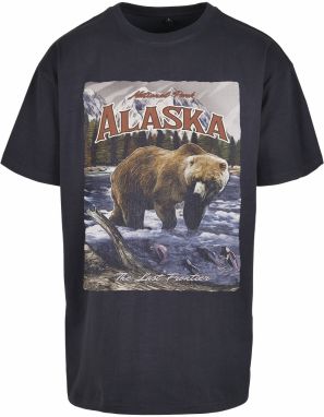 Mister Tee Tričko 'Alaska'  svetlomodrá / svetlohnedá / trstinová / zmiešané farby