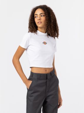 DICKIES Tričko 'MAPLE VALLEY'  tmavomodrá / žltá / červená / biela