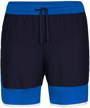 ICEBREAKER Športové nohavice 'M ZoneKnit Shorts'  modrá / čierna