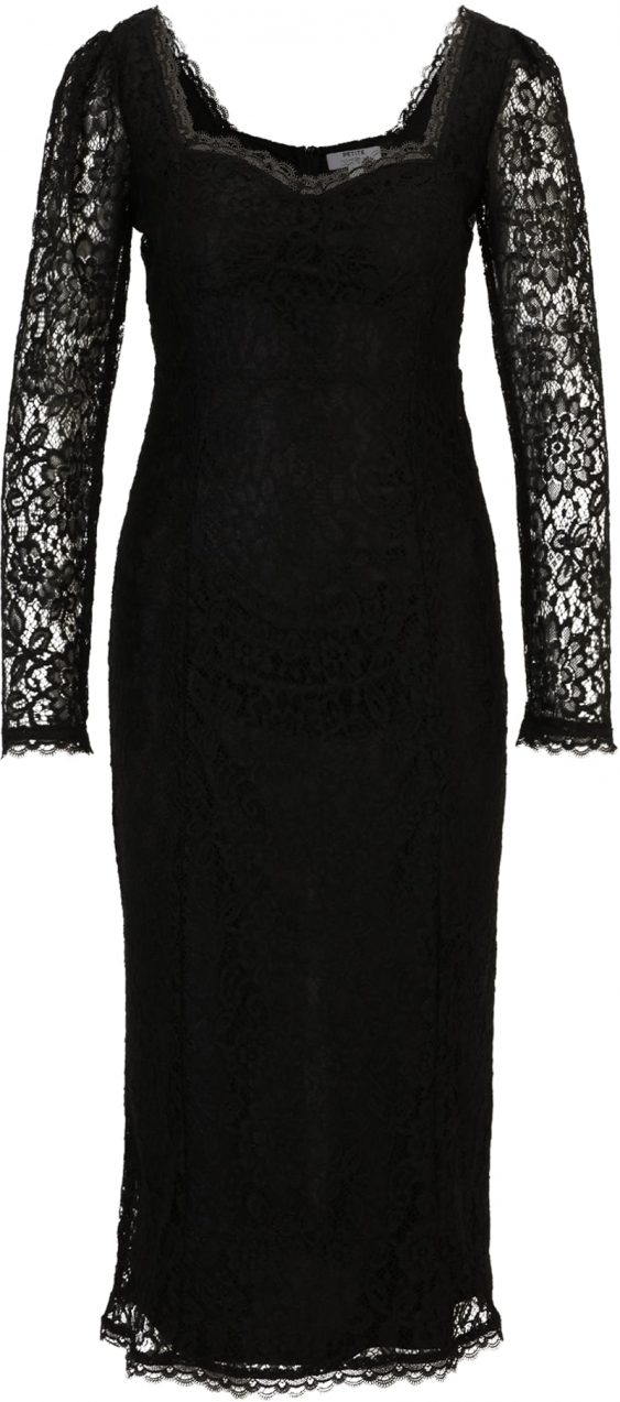 Dorothy Perkins Petite Šaty  čierna