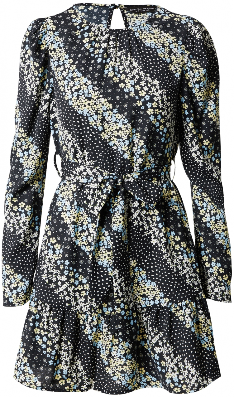Dorothy Perkins Šaty  svetlomodrá / pastelovo zelená / čierna / biela