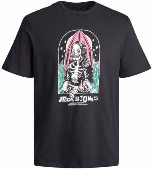 JACK & JONES Tričko  zmiešané farby / čierna