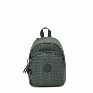 KIPLING Batoh 'New Delia Compact'  zelená / tmavozelená