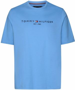 Tommy Hilfiger Big & Tall Tričko  námornícka modrá / azúrová / červená / biela