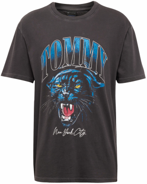 Tommy Jeans Tričko 'COLLEGE TIGER'  modrá / červená / čierna / biela