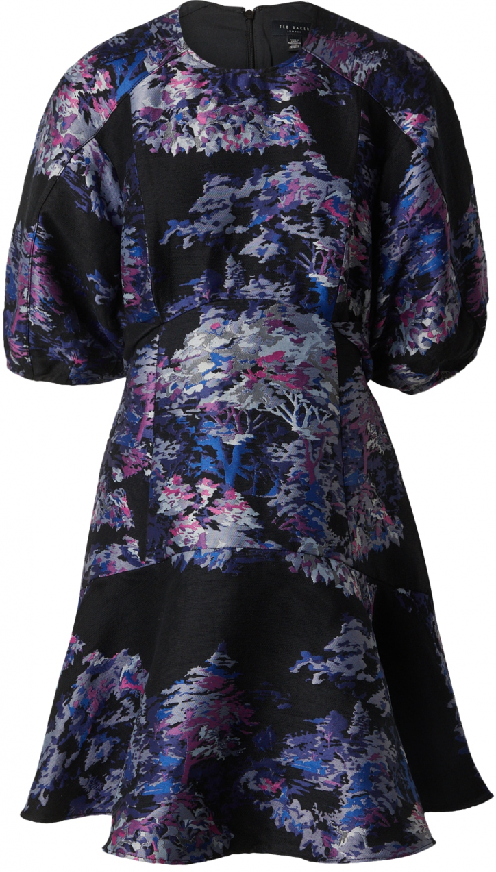 Ted Baker Šaty 'wilbur'  modrá / svetlomodrá / tmavofialová / čierna