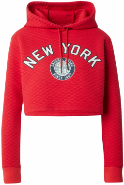 AÉROPOSTALE Mikina  námornícka modrá / sivá / červená / biela