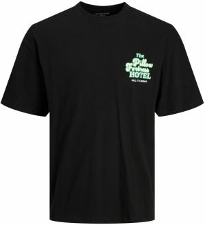 JACK & JONES Tričko 'Toast'  zelená / pastelovo zelená / čierna / biela