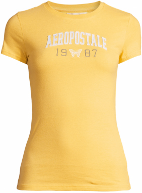 AÉROPOSTALE Tričko 'JKI ARCH 1987 BTTRFLY'  žltá / čierna / biela