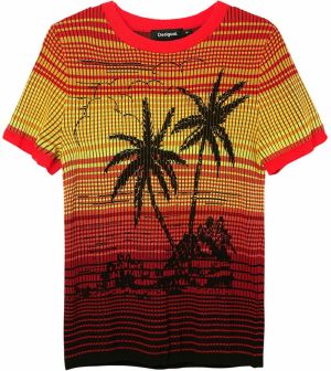 Desigual Tričko  zmiešané farby