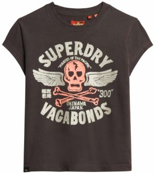 Superdry Tričko  tmavohnedá / striebornosivá / rosé