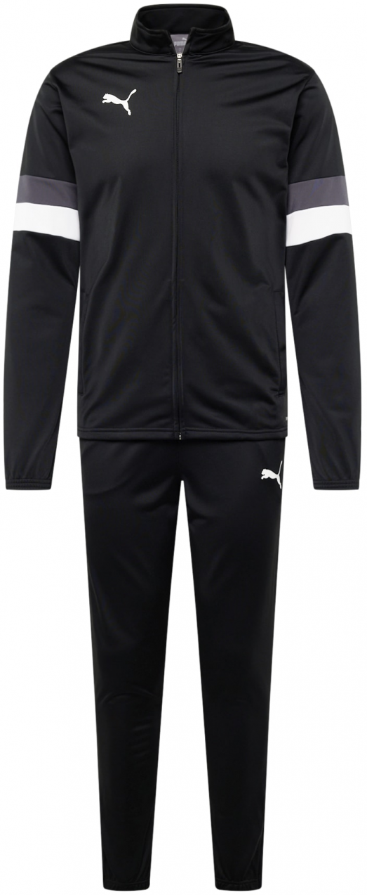 PUMA Tréningový komplet 'TeamRISE'  tmavosivá / čierna / biela