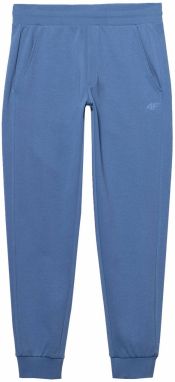 4F Športové nohavice  modrá / modrá denim