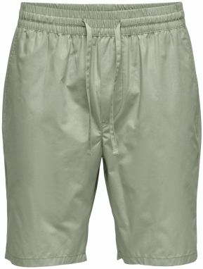 Only & Sons Nohavice 'LINUS'  svetlozelená