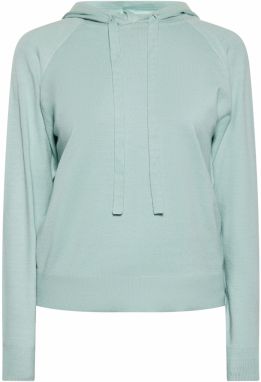 usha BLUE LABEL Sveter  mätová