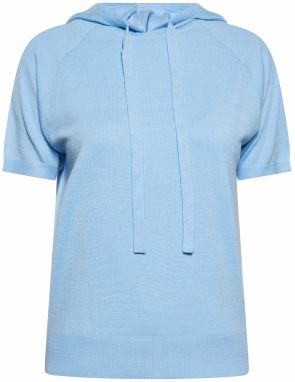 usha BLUE LABEL Sveter  modrá