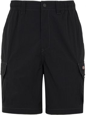 DICKIES Kapsáče 'Jackson'  čierna
