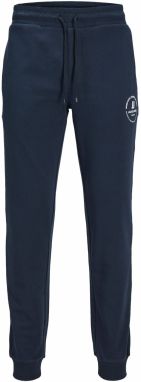 Jack & Jones Plus Nohavice 'Gordon'  námornícka modrá / biela