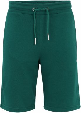 FILA Nohavice 'BLEHEN'  tmavozelená / červená / biela