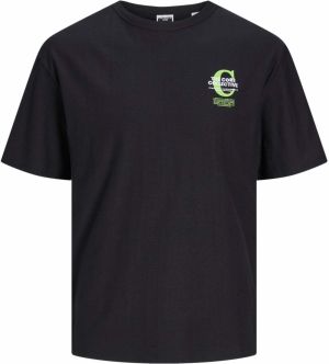 JACK & JONES Tričko 'JCOHOLGER'  svetlozelená / čierna / biela