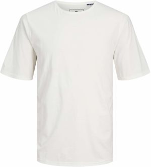 JACK & JONES Tričko 'JPRBlurydes'  biela