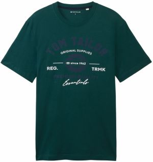 TOM TAILOR Tričko  indigo / tmavozelená / biela