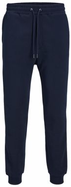 JACK & JONES Nohavice 'JPSTGordon JJBradley'  námornícka modrá