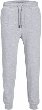 JACK & JONES Nohavice 'JPSTGordon JJBradley'  sivá
