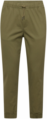 JACK & JONES Nohavice 'JPSTGORDON JJDAVE'  olivová
